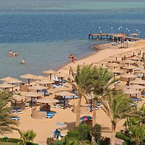 Apartament typu junior